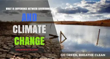 Environment vs. Climate Change: Understanding the Key Differences