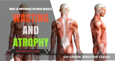 Muscle Wasting vs. Atrophy: Understanding the Key Differences and Causes