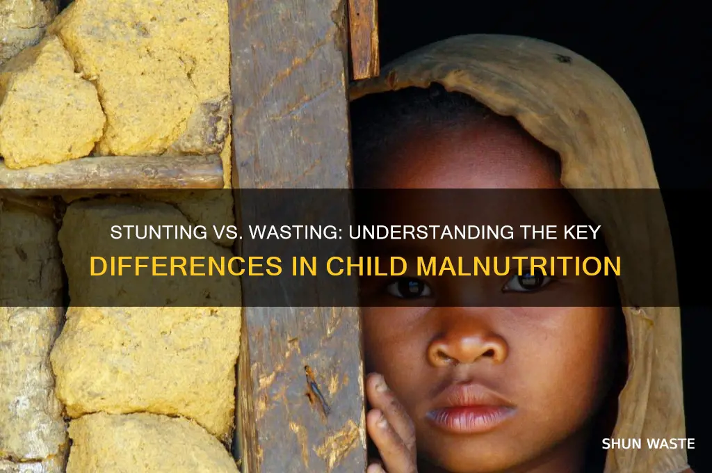 what is difference between stunting and wasting