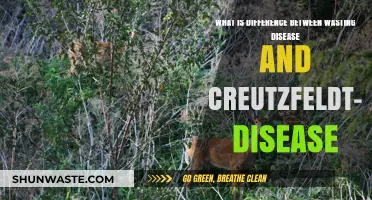 Wasting Disease vs. Creutzfeldt-Jakob: Understanding Key Differences and Impacts