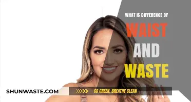 Waist vs. Waste: Understanding the Key Differences and Uses