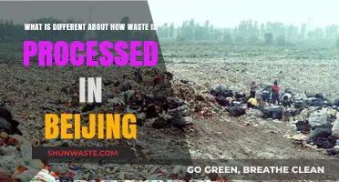Beijing's Unique Waste Processing: Innovations and Challenges in Urban Management