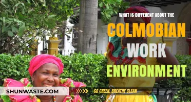 Exploring Unique Aspects of Colombia's Work Culture and Environment