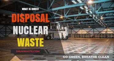 Direct Disposal of Nuclear Waste: A Sustainable Solution?