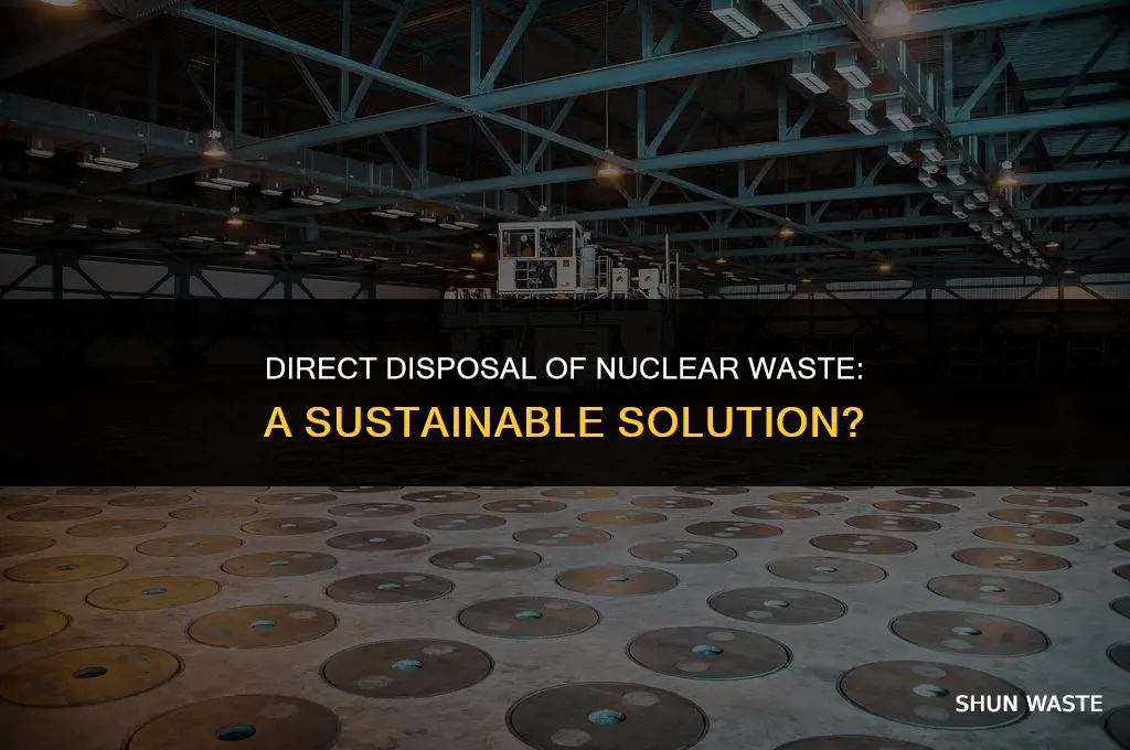 what is direct disposal nuclear waste