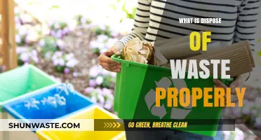 Eco-Friendly Disposal: A Guide to Proper Waste Management