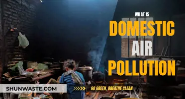Air Pollution at Home: What's Harming You?