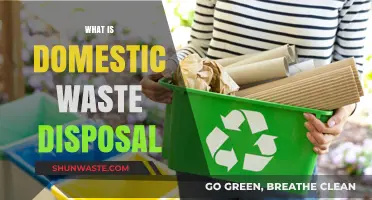 Eco-Friendly Guide to Domestic Waste Disposal: Tips and Tricks