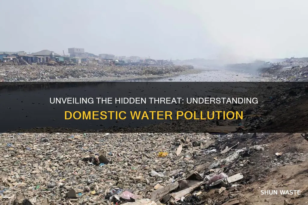 what is domestic water pollution