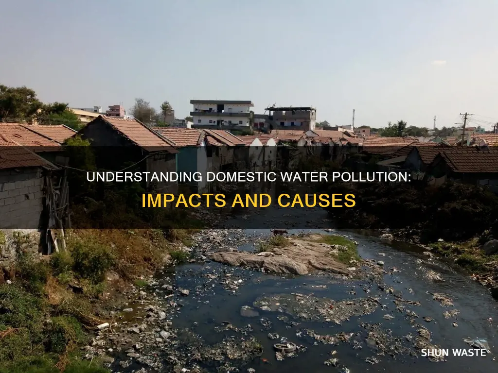 what is domestic water pollution