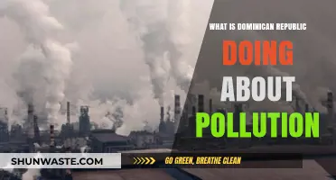 Dominican Republic's Fight Against Pollution: Strategies and Challenges