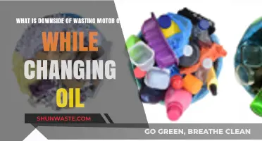The Hidden Environmental and Financial Costs of Wasting Motor Oil