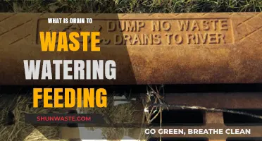 Mastering Drain to Waste Watering: A Guide to Efficient Feeding Techniques