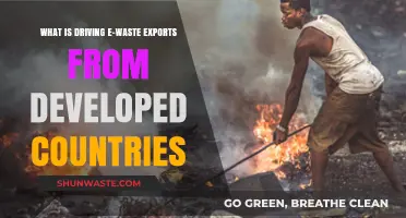 Global E-Waste Crisis: Why Developed Nations Export Digital Trash