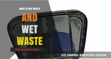 Understanding Dry and Wet Waste: A Comprehensive Guide to Waste Segregation