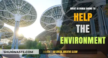 Dubai's Green Revolution: Sustainable Initiatives for a Healthier Environment