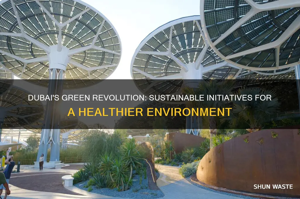 what is dubai doing to help the environment