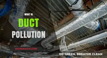 Duct Pollution: Understanding the Hidden Health Hazard