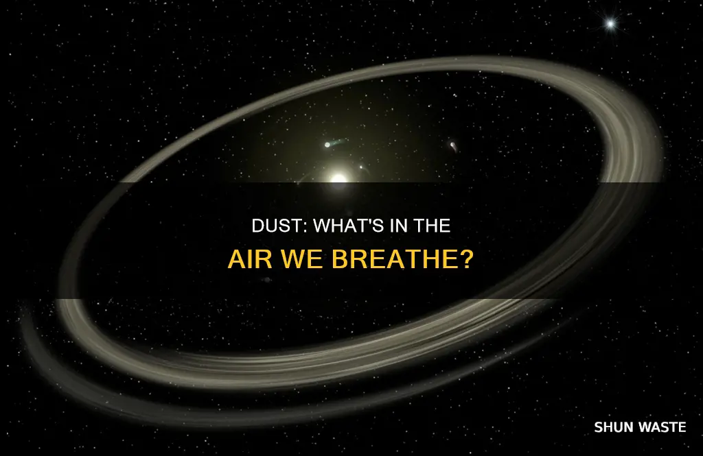 what is dust made up of