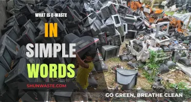 Understanding E-Waste: A Simple Guide to Electronic Waste