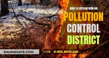 Kern Air Pollution: What's the District's Role?