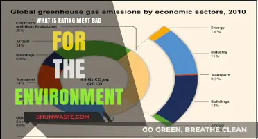 Why Eating Meat Harms the Environment: A Critical Analysis