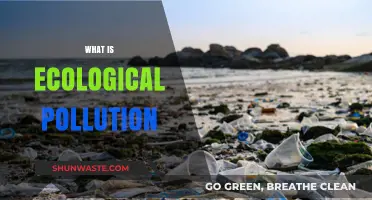 Understanding Ecological Pollution: Nature's Harmful Impact