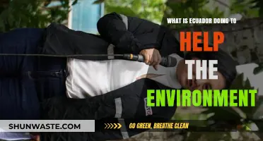 Ecuador's Green Revolution: Environmental Initiatives and Sustainability Efforts