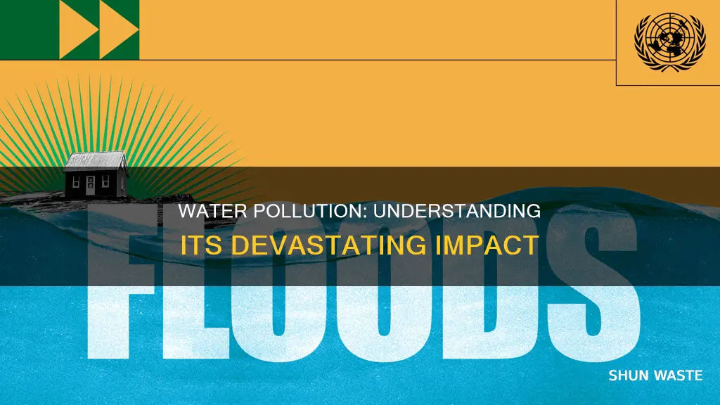 what is effect of polluted water