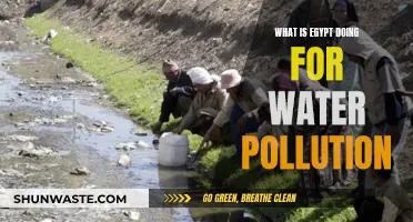 Egypt's Water Quality: Initiatives to Combat Pollution