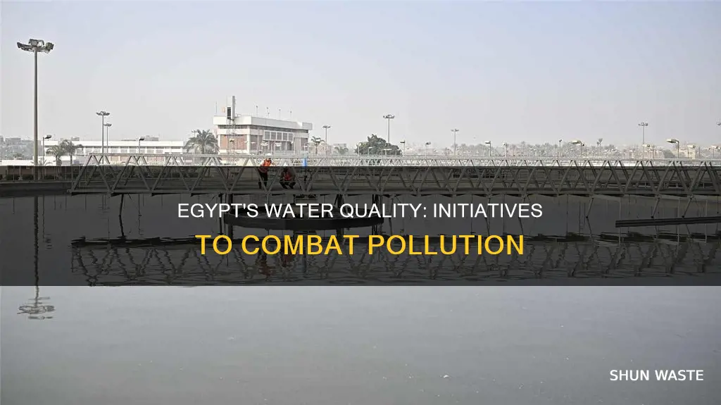 what is egypt doing for water pollution