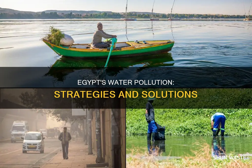 what is egypt doing for water pollution