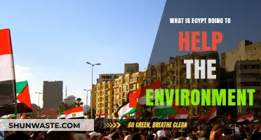 Egypt's Green Revolution: Environmental Initiatives and Sustainable Progress