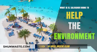 El Salvador's Green Revolution: Environmental Initiatives for a Sustainable Future