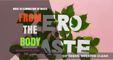Understanding the Body's Natural Waste Elimination Processes and Importance