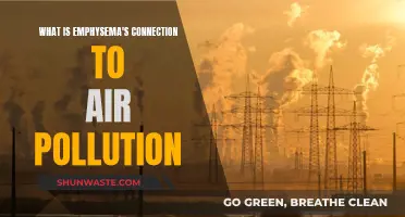 Emphysema: Air Pollution's Deadly Impact