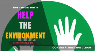 England's Green Initiatives: How the Nation is Tackling Environmental Challenges