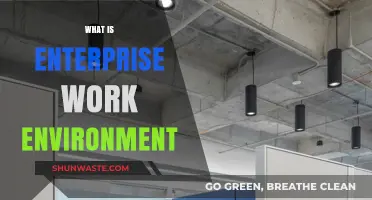 Understanding the Dynamics of an Enterprise Work Environment