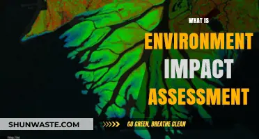 Understanding Environmental Impact Assessments: Purpose, Process, and Importance