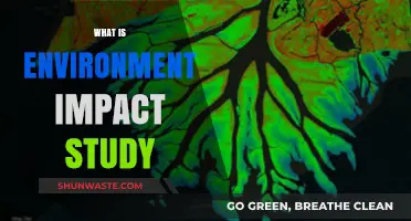 Understanding Environmental Impact Studies: Purpose, Process, and Importance