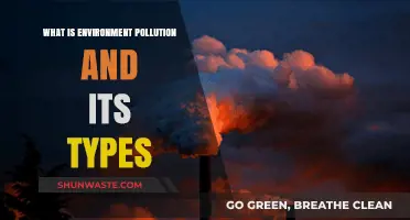 Understanding Environmental Pollution and Its Diverse Forms