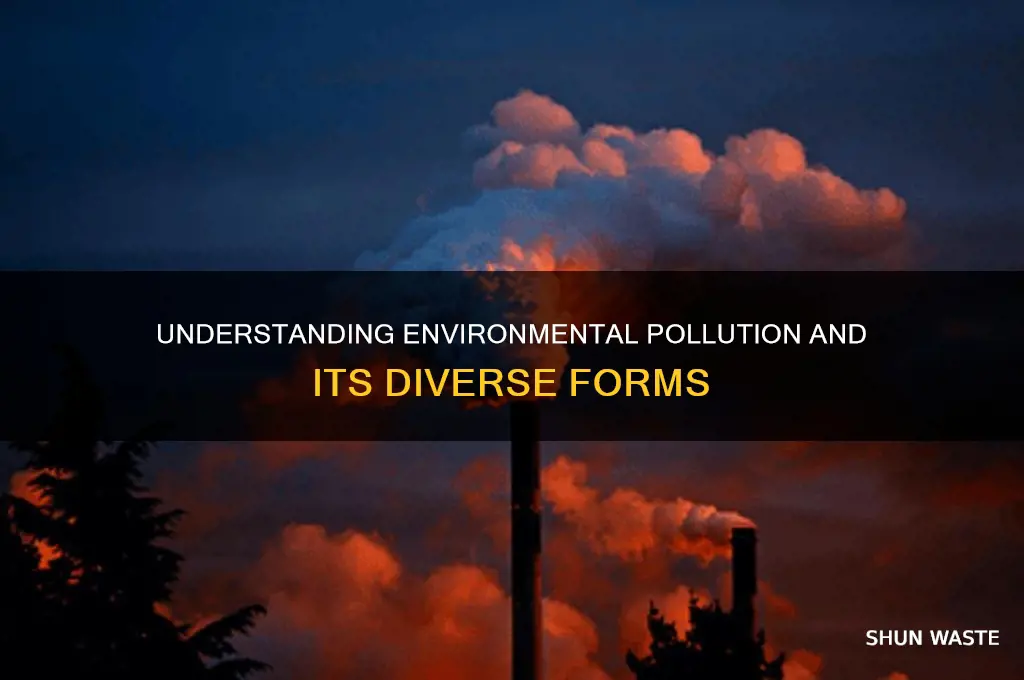 what is environment pollution and its types