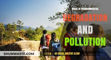 The Dark Side of Human Progress: Environmental Degradation and Pollution