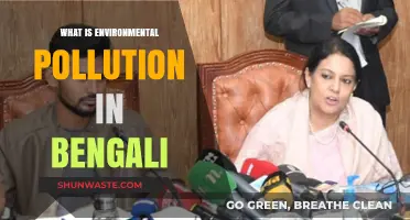 পরিবেশ নিয়ন্ত্রণ কী? প্রকৃতির ক্ষতি বাড়ায় মানুষ