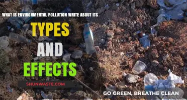 Environmental Pollution: Understanding Types and Effects