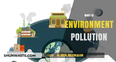 Environmental Pollution: Understanding the Crisis