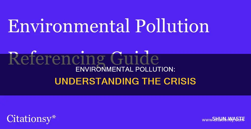 what is environmental pollution