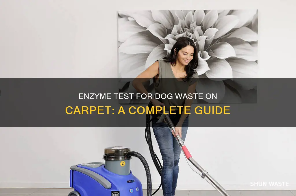 what is enzyme test on carpet for dog waste