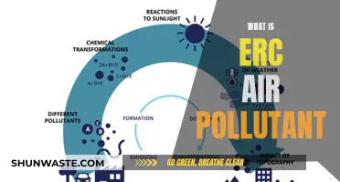 Air Quality Alert: Understanding ERC Pollutants