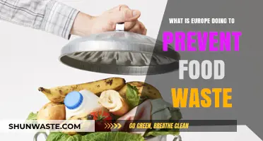 Combating Food Waste: Europe's Innovative Strategies and Initiatives